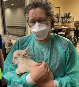 Photo of Kyle Isaacs in mask and gown holding a lamb