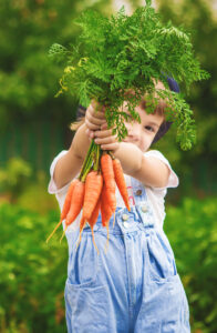 Girl in blue overalls holding a bunch of carrots