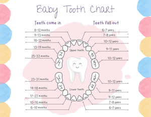 Baby tooth chart. When teeth come in and fall out.