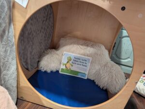 Picture of Tucker Turtle book inside a reading corner